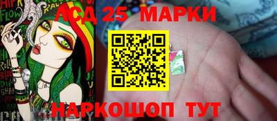 гашик Жуковский