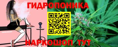 гашик Жуковский
