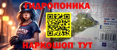 спиды Заволжье