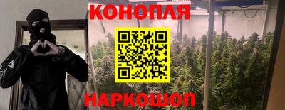 гашик Жуковский