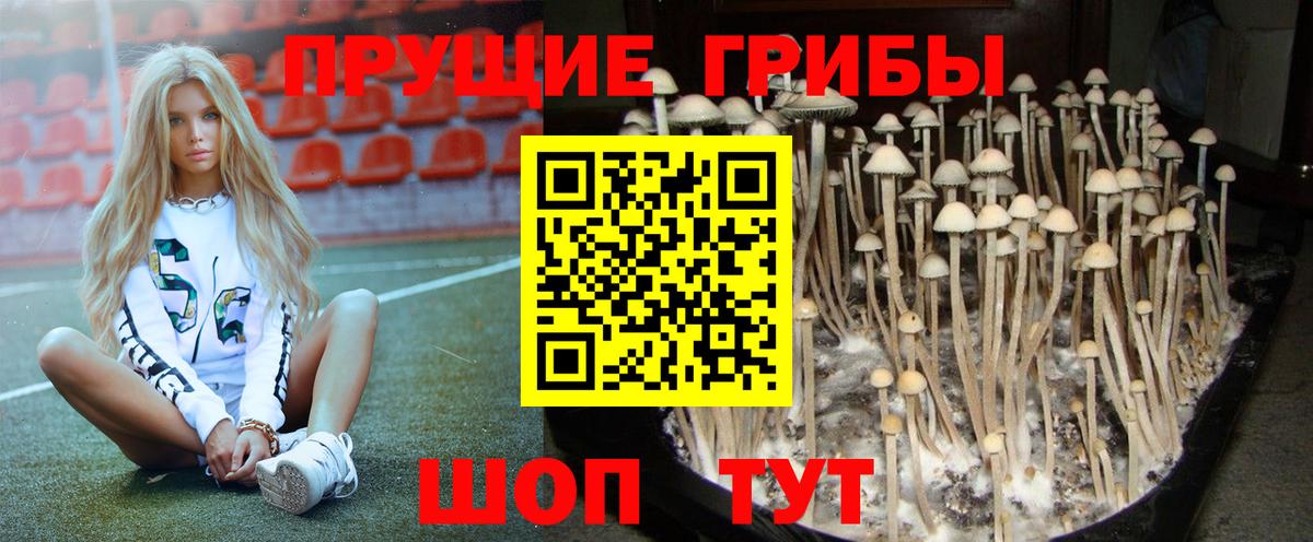 Галлюциногенные грибы прущие грибы Нижневартовск